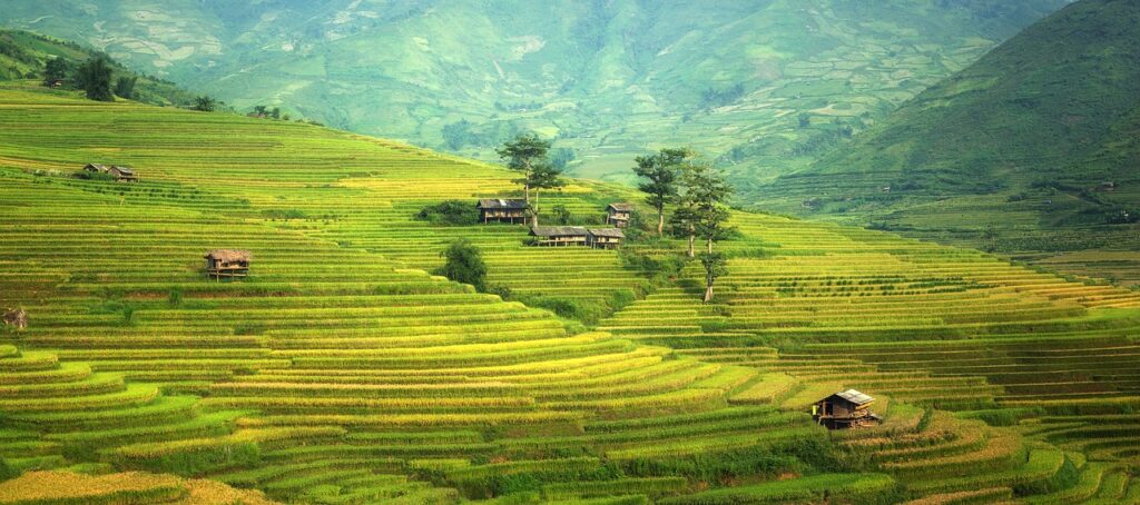 rice terraces, mountains, rice paddies